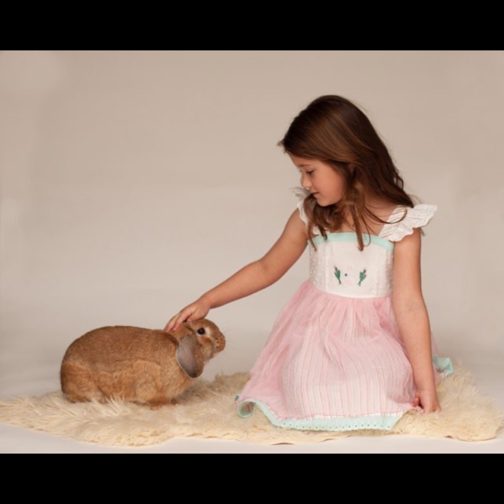 Wildflowers clothing embroidered bunny dress